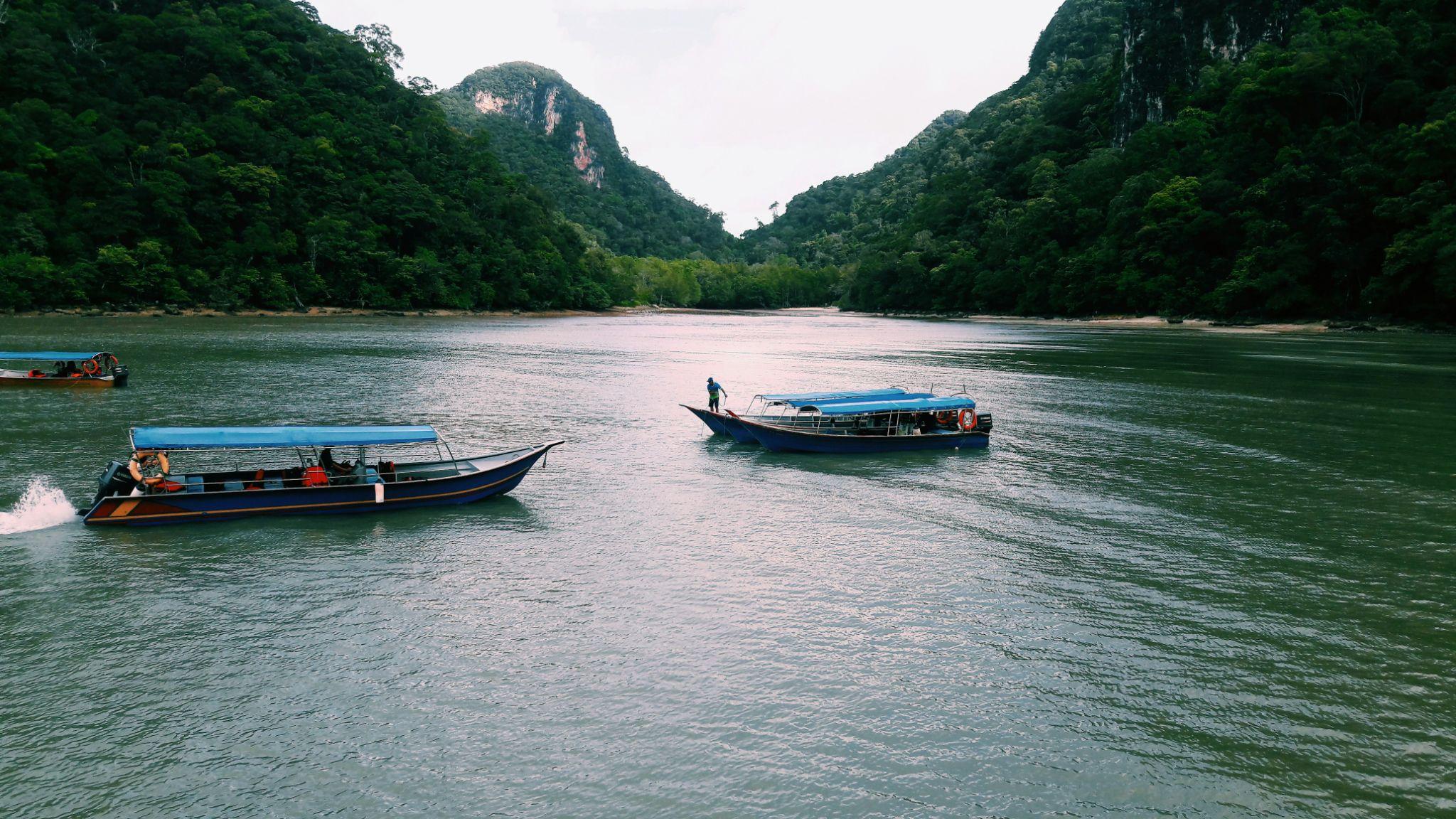 Langkawi river and limestone karst scenery